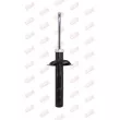 Amortisseur avant droit LTM D58320 - Visuel 2
