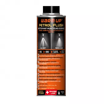 Nettoyant pour injection électronique (essence) WARM UP WU-PF300