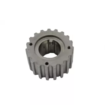 Roue dentée, vilebrequin GOOM AGI-0021