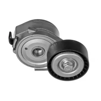 Tendeur de courroie, courroie trapézoïdale à nervures GOOM BT-0055