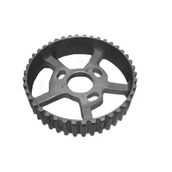 Pignon, pompe d'injection GOOM CG-0013
