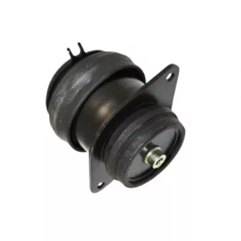 Support moteur arrière droit GOOM EM-0288