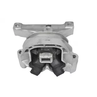 Support moteur GOOM EM-0476