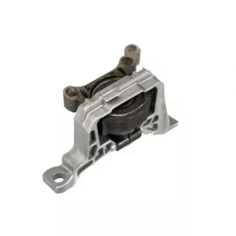 Support moteur GOOM EM-1013