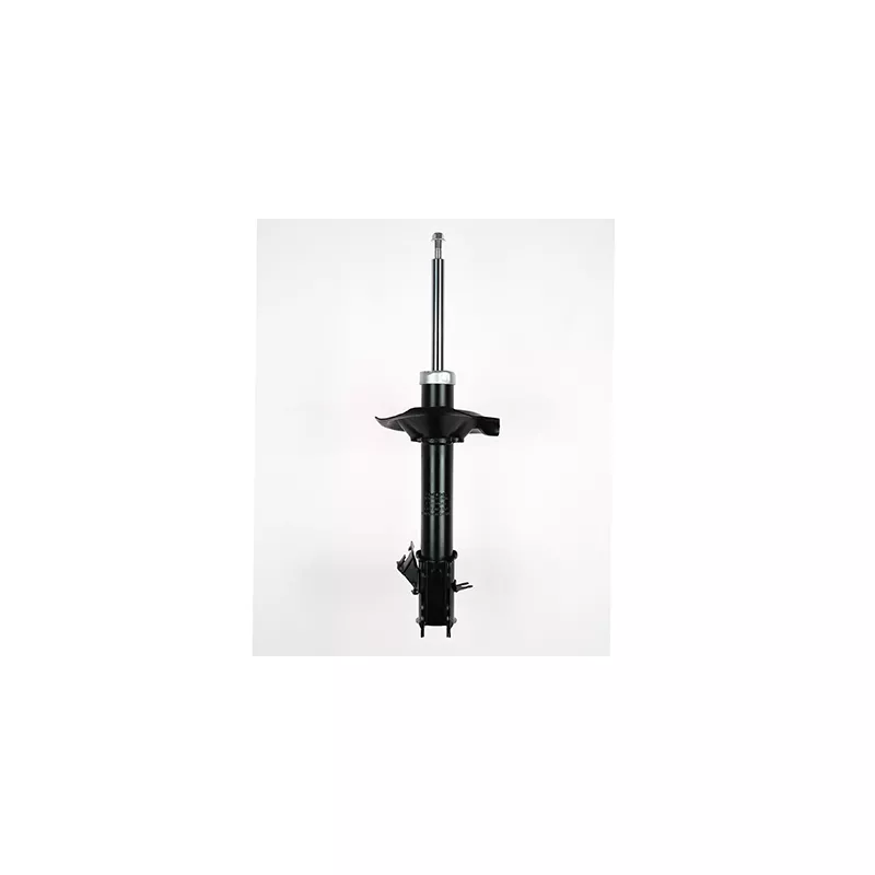 Amortisseur avant gauche GOOM F210G0066