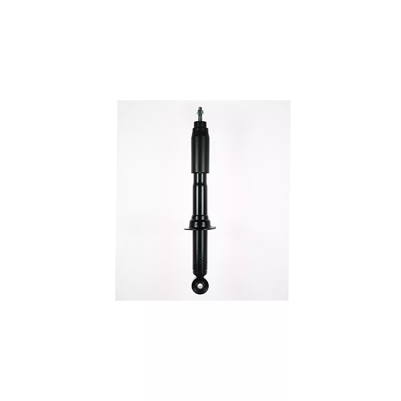 Jeu de 2 amortisseurs avant GOOM F210G0095