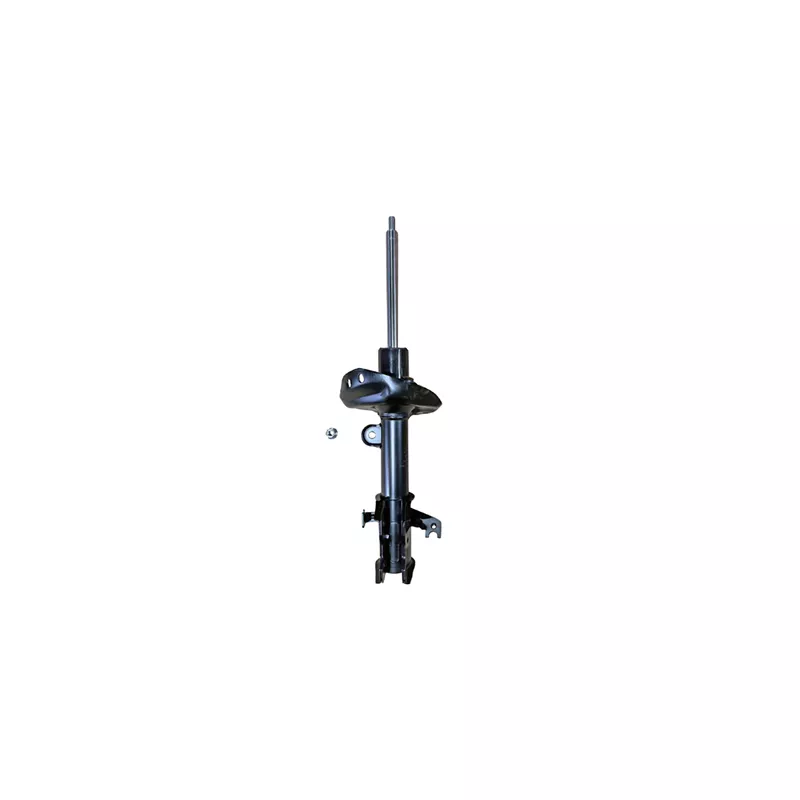 Amortisseur avant droit GOOM F210G0170
