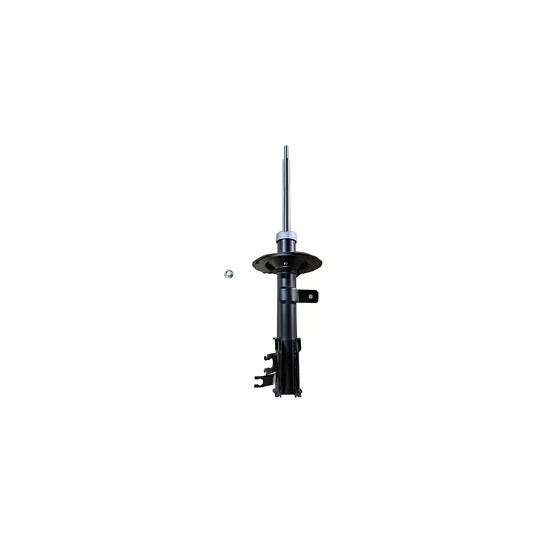 Amortisseur avant droit GOOM F210G0365