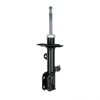 Amortisseur avant droit GOOM F210G0457