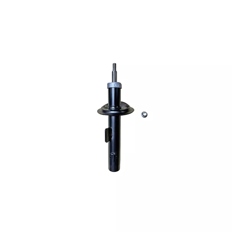 Amortisseur avant gauche GOOM F210G0574
