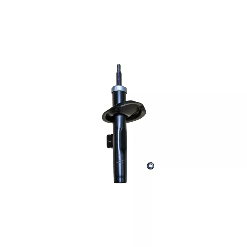 Amortisseur avant droit GOOM F210G0575