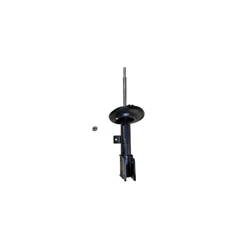 Amortisseur avant droit GOOM F210G0591