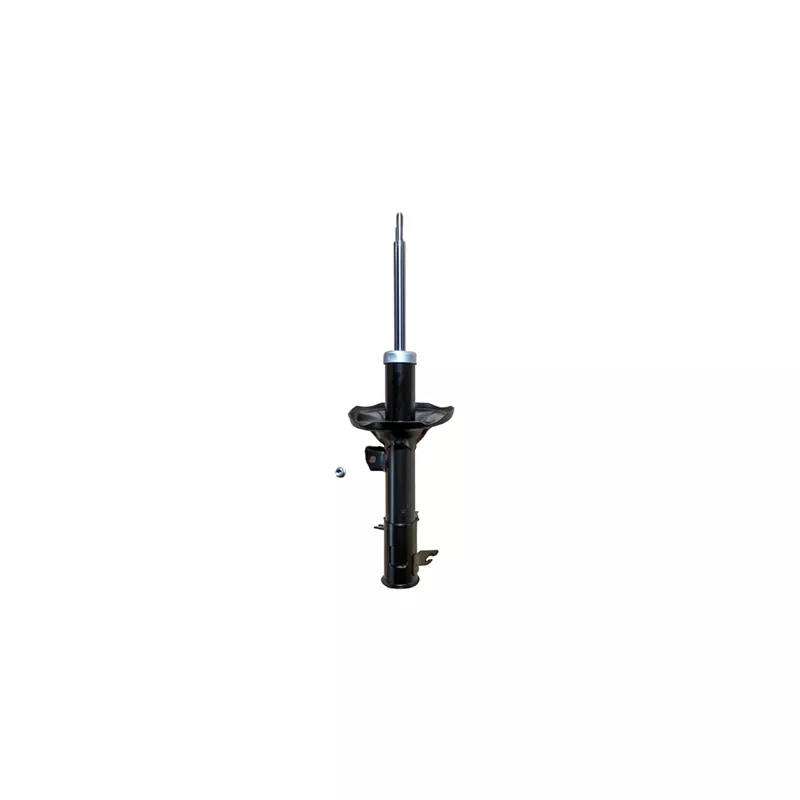 Amortisseur avant gauche GOOM F210G0646