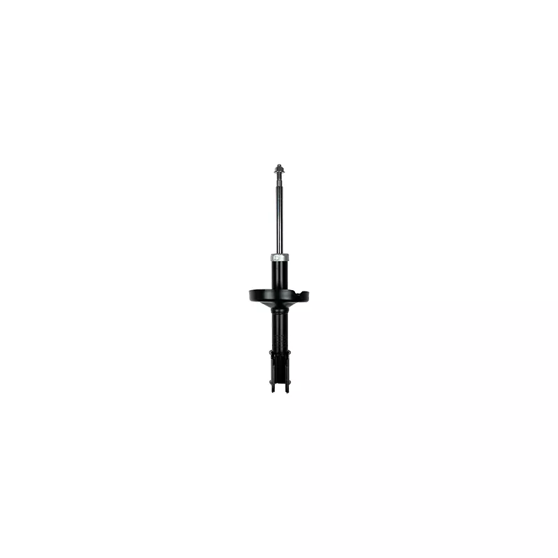 Jeu de 2 amortisseurs avant GOOM F210G1094