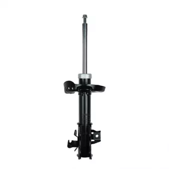 Amortisseur avant droit GOOM F210G1119