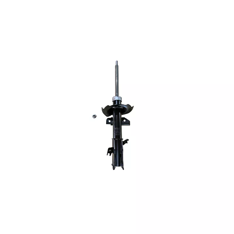 Amortisseur avant gauche GOOM F210G1200