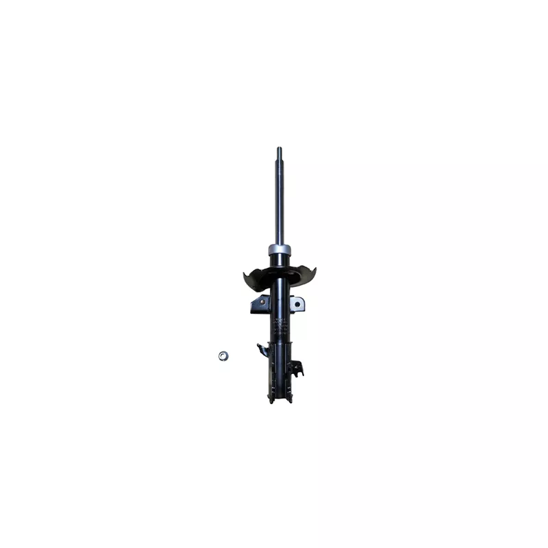 Amortisseur avant droit GOOM F210G1201