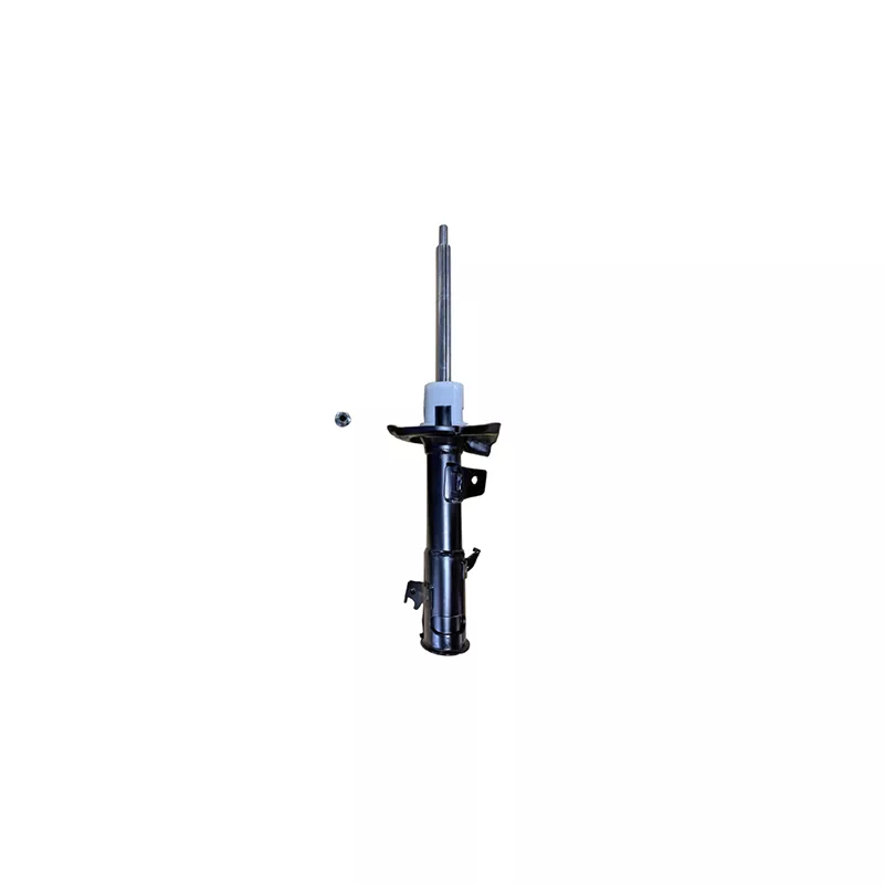 Amortisseur avant droit GOOM F210G1427