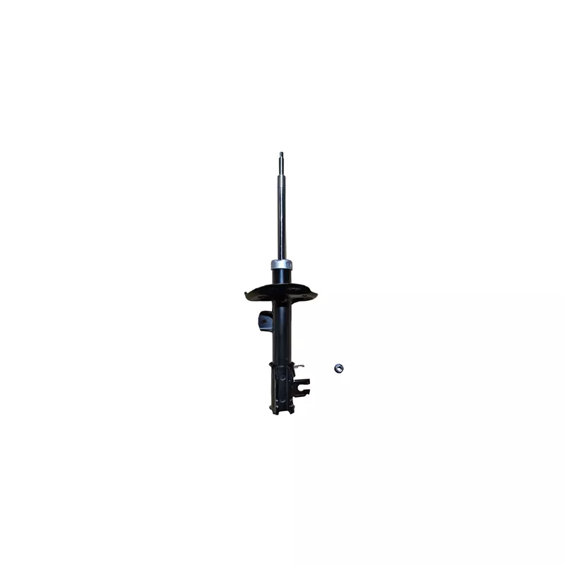 Amortisseur avant droit GOOM F210G1485