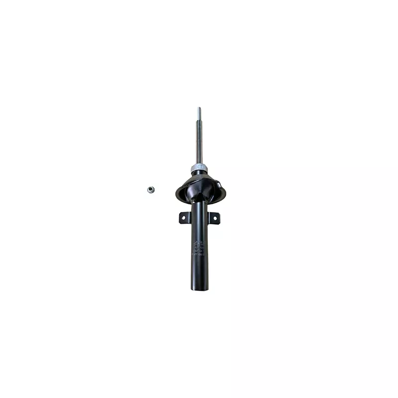 Jeu de 2 amortisseurs avant GOOM F210G1502