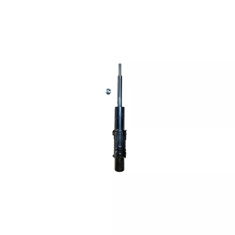 Jeu de 2 amortisseurs avant GOOM F210G1525