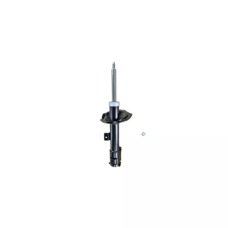 Amortisseur avant gauche GOOM F210G1544