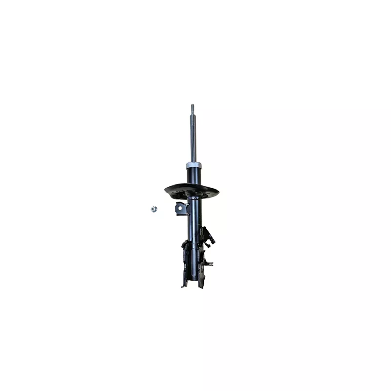 Amortisseur avant droit GOOM F210G1550
