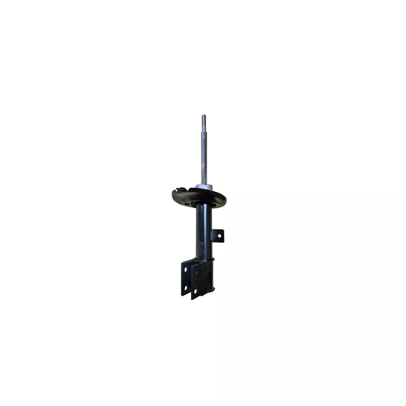 Amortisseur avant gauche GOOM F210G1556