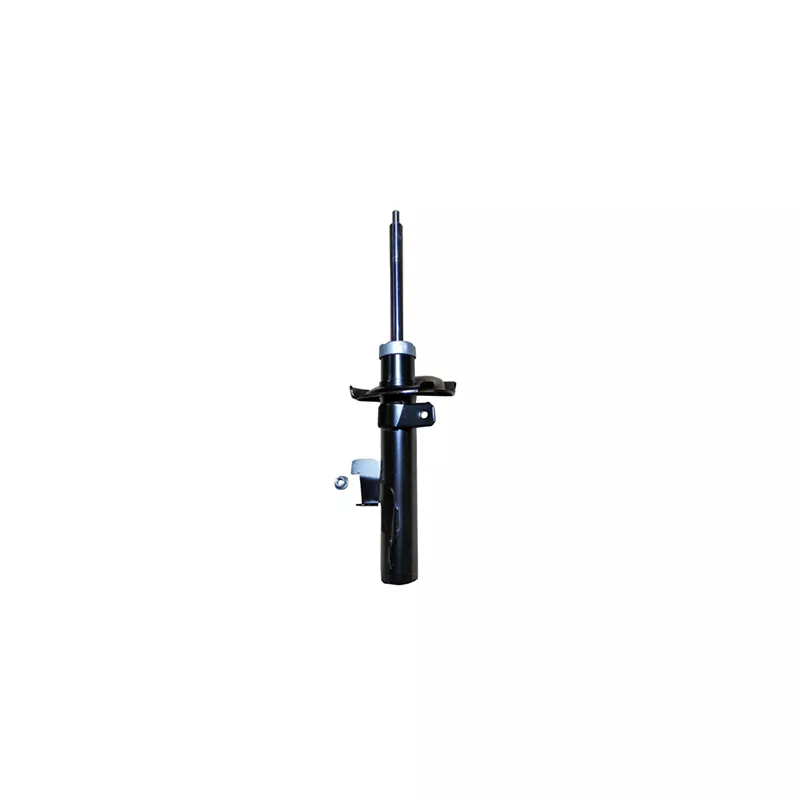 Amortisseur avant droit GOOM F210G1561