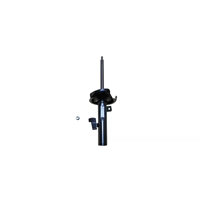 Amortisseur avant gauche GOOM F210G1562