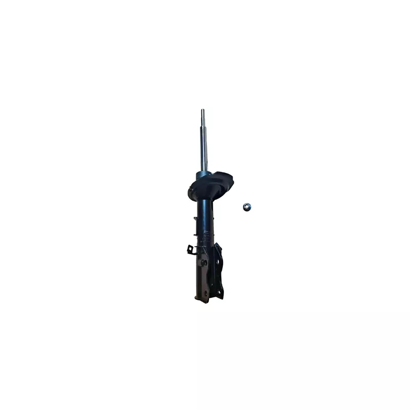 Jeu de 2 amortisseurs avant GOOM F210G1571