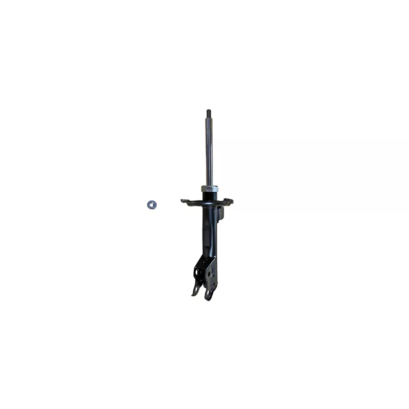 Jeu de 2 amortisseurs avant GOOM F210G1585