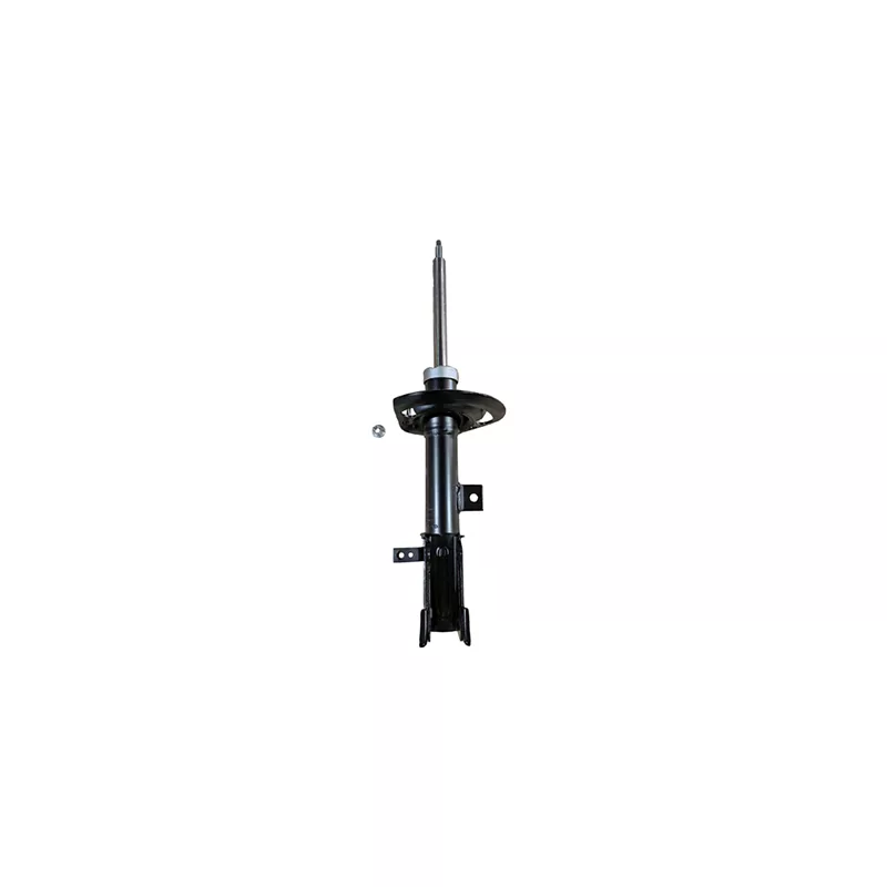 Amortisseur avant gauche GOOM F210G1603