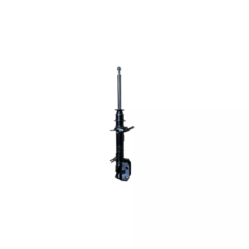 Amortisseur avant gauche GOOM F210G1610