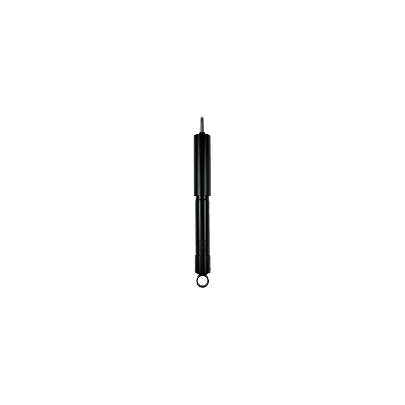 Jeu de 2 amortisseurs arrière GOOM F220G0163
