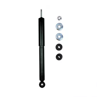 Jeu de 2 amortisseurs arrière GOOM F220G0164