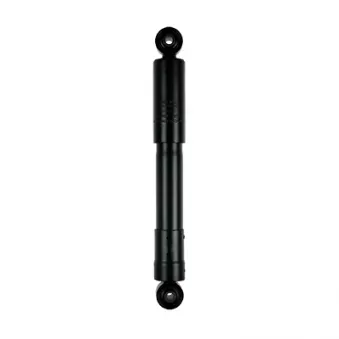 Jeu de 2 amortisseurs arrière GOOM F220G0169