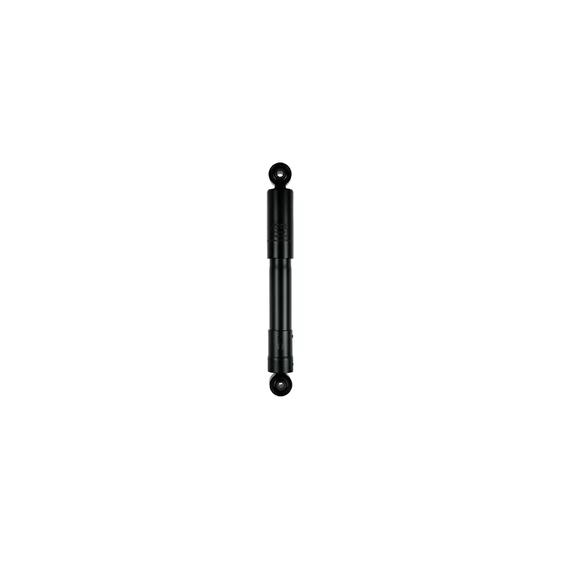 Jeu de 2 amortisseurs arrière GOOM F220G0169