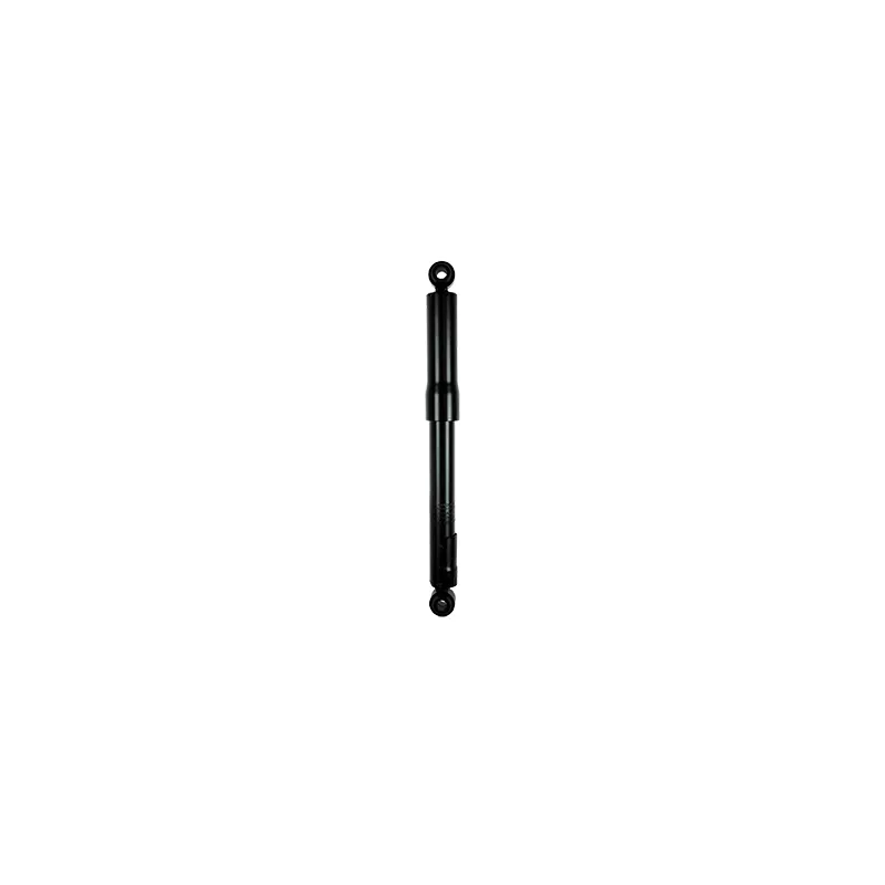 Jeu de 2 amortisseurs arrière GOOM F220G0179