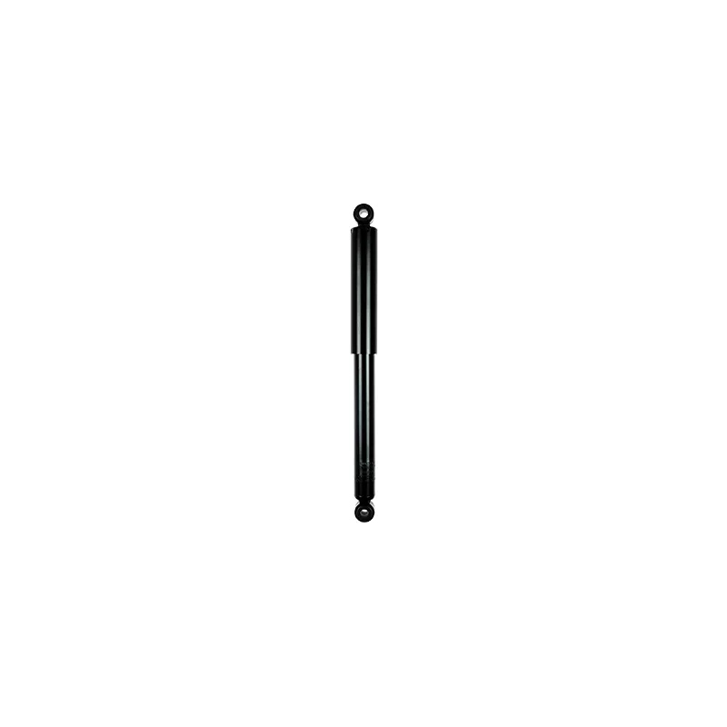 Jeu de 2 amortisseurs arrière GOOM F220G0187