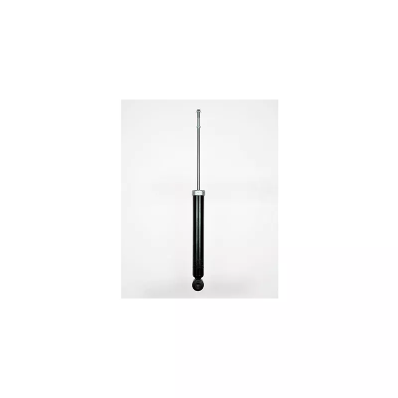 Jeu de 2 amortisseurs arrière GOOM F220G0214