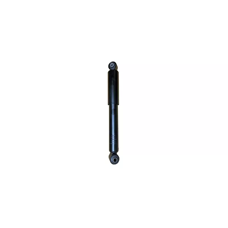 Jeu de 2 amortisseurs arrière GOOM F220G0366