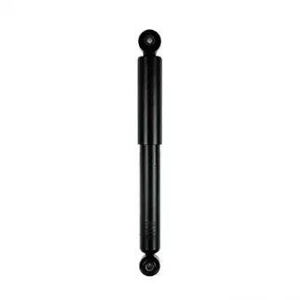 Jeu de 2 amortisseurs arrière GOOM F220G0367
