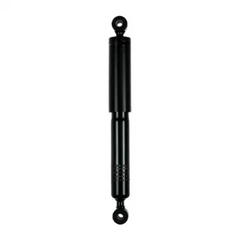 Jeu de 2 amortisseurs arrière GOOM F220G0372