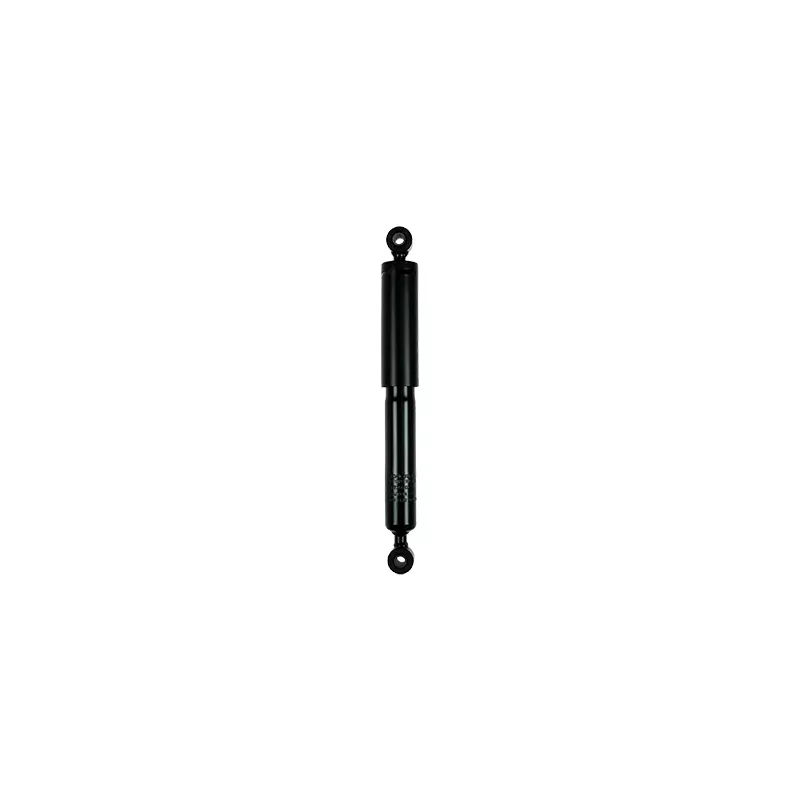 Jeu de 2 amortisseurs arrière GOOM F220G0372
