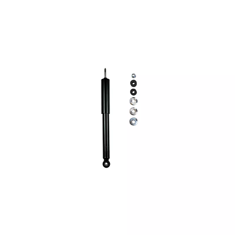 Jeu de 2 amortisseurs arrière GOOM F220G0787