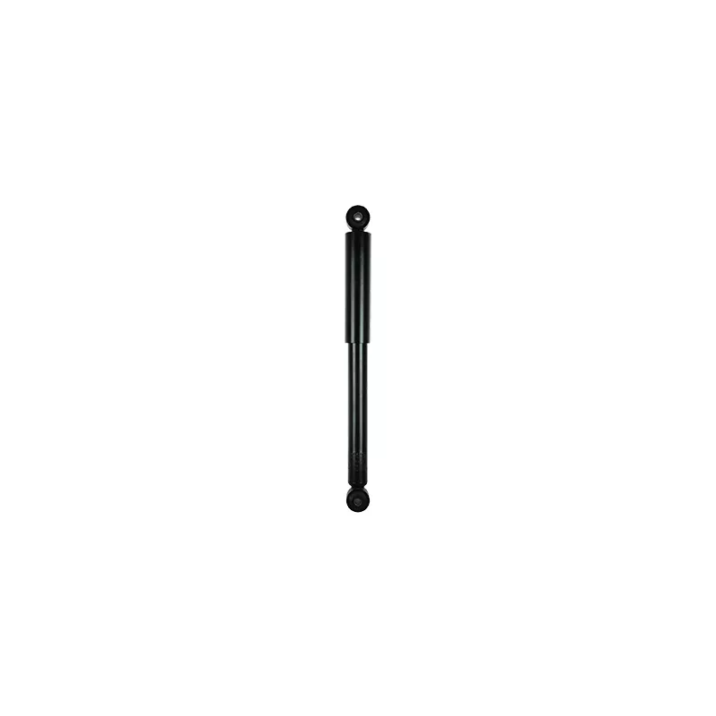 Jeu de 2 amortisseurs arrière GOOM F220G0789