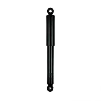 Jeu de 2 amortisseurs arrière GOOM F220G0845