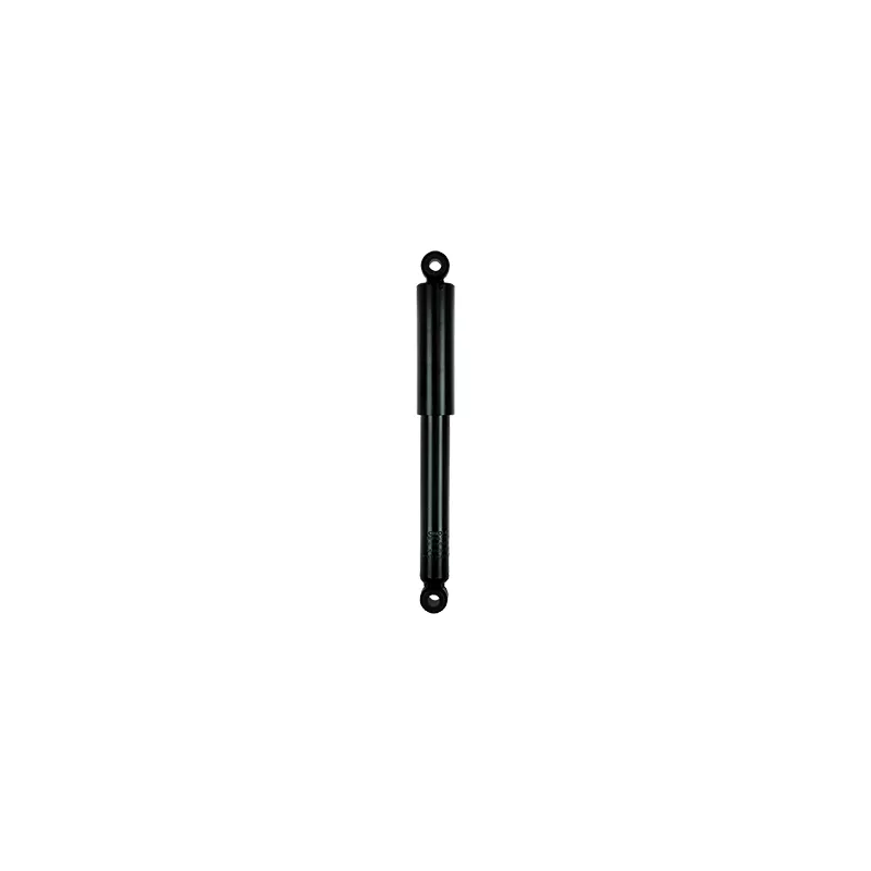 Jeu de 2 amortisseurs arrière GOOM F220G0845