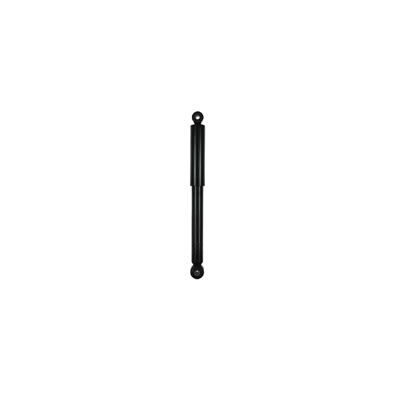 Jeu de 2 amortisseurs arrière GOOM F220G0872